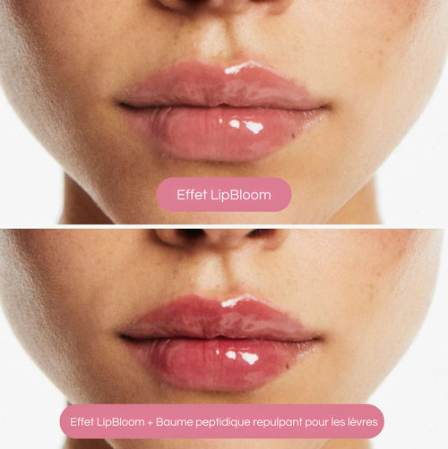 LipBloom — effet volume instantané + finition glossy
